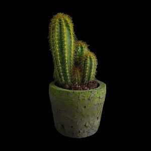 Handcrafted Concrete Plant Pot: Rustic Mossy Green Finish