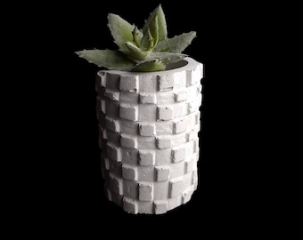 May include: White concrete planter with a geometric pattern, featuring a small green succulent plant.