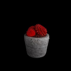 Handcrafted Textured Concrete Planter: Modern Rustic Cactus Pot