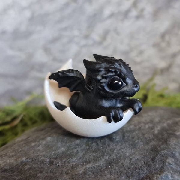 Newborn black dragon in egg. Little cute miniature of dragon! Hatching Dragon!