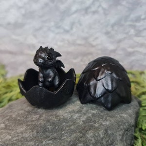 Newborn black dragon in egg. Little cute miniature of dragon!