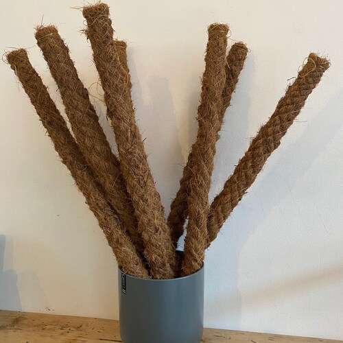 Coco Moss Pole Plant Support Free Twine Etsy UK
