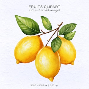 25 Fruits Clipart, Clipart Bundle, Watercolor Clip Art, AI Generated Art, Tropical Clip Art, Food Clipart, Commercial License