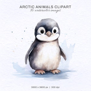 Polar Arctic Animals, Watercolor Clipart, Nursery Wall Art, Arctic Animals PNG, Free for Commercial Use, Digital Download