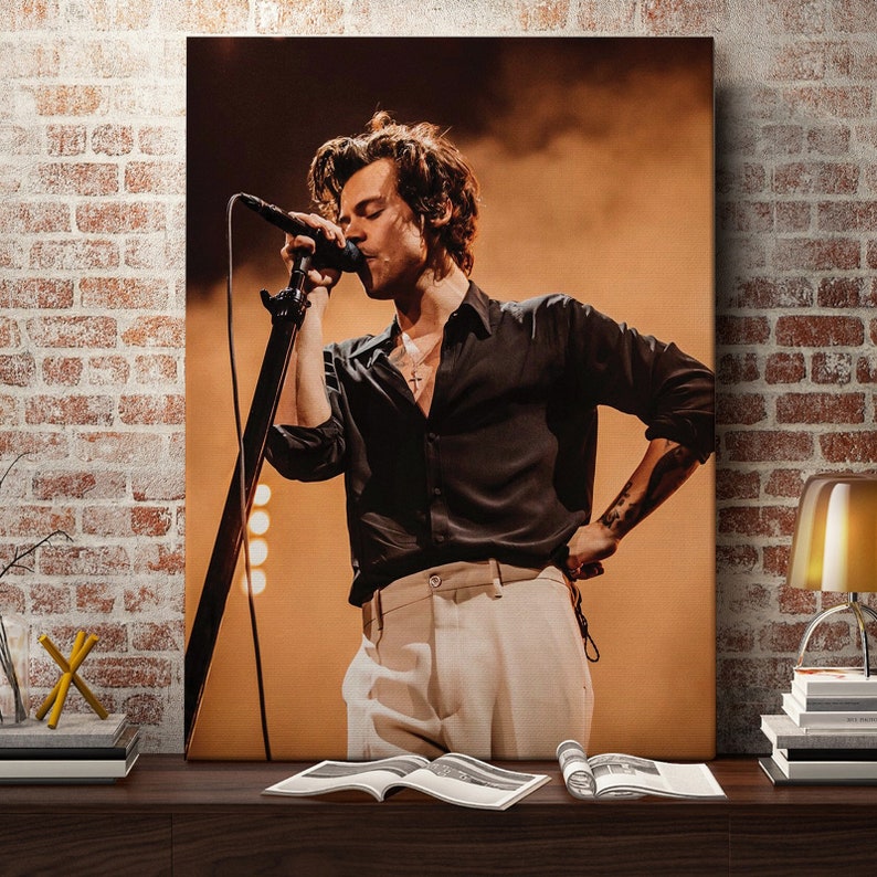 Harry Styles Poster / Harry Styles Canvas / Rapper Poster / | Etsy