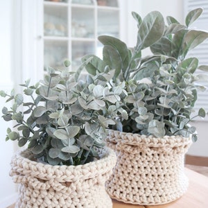 Puede incluir: Dos plantas en maceta con follaje verde plateado en cestas de ganchillo de color crema. Las cestas tienen un aspecto tejido texturizado. Las plantas descansan sobre una tabla de madera, con un armario blanco al fondo.