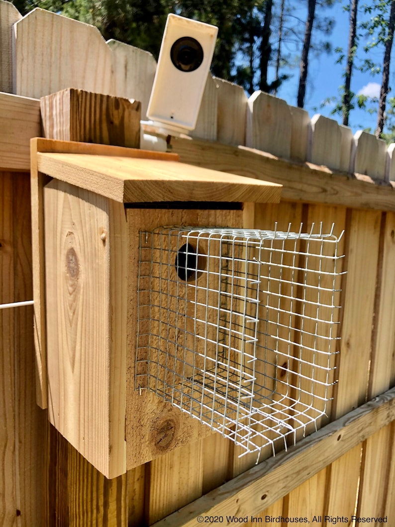 UltimateDefender Predator Guard Birdhouse Guard Guard Etsy