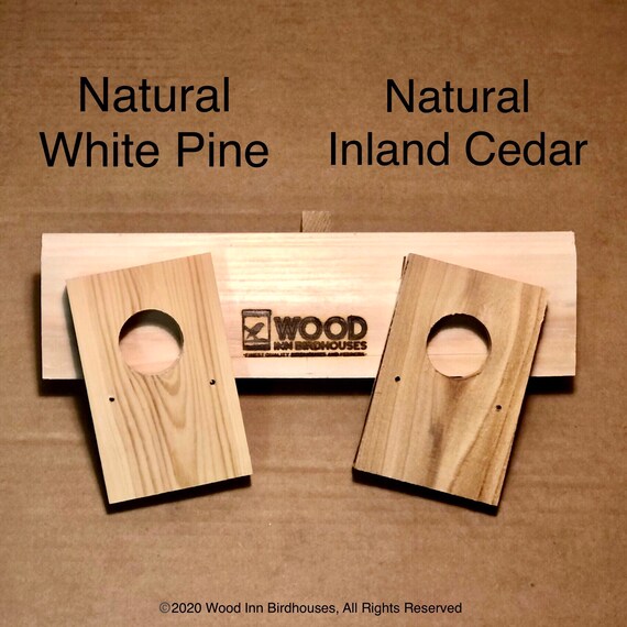 Predator Guard Birdhouse Guard Guard Portal Guard Etsy