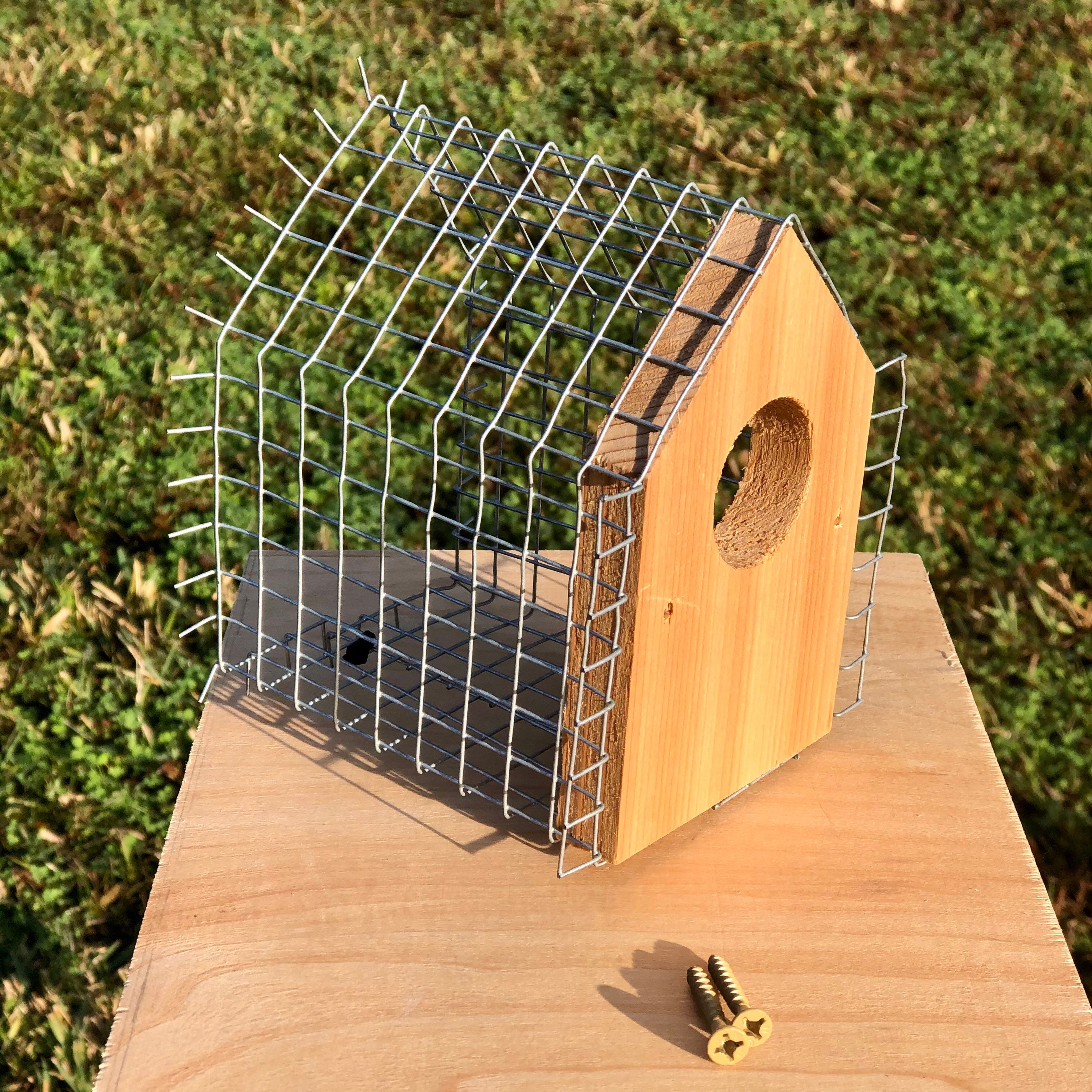 Ultimatedefender Gable Roof Birdhouse Predator Guard Etsy