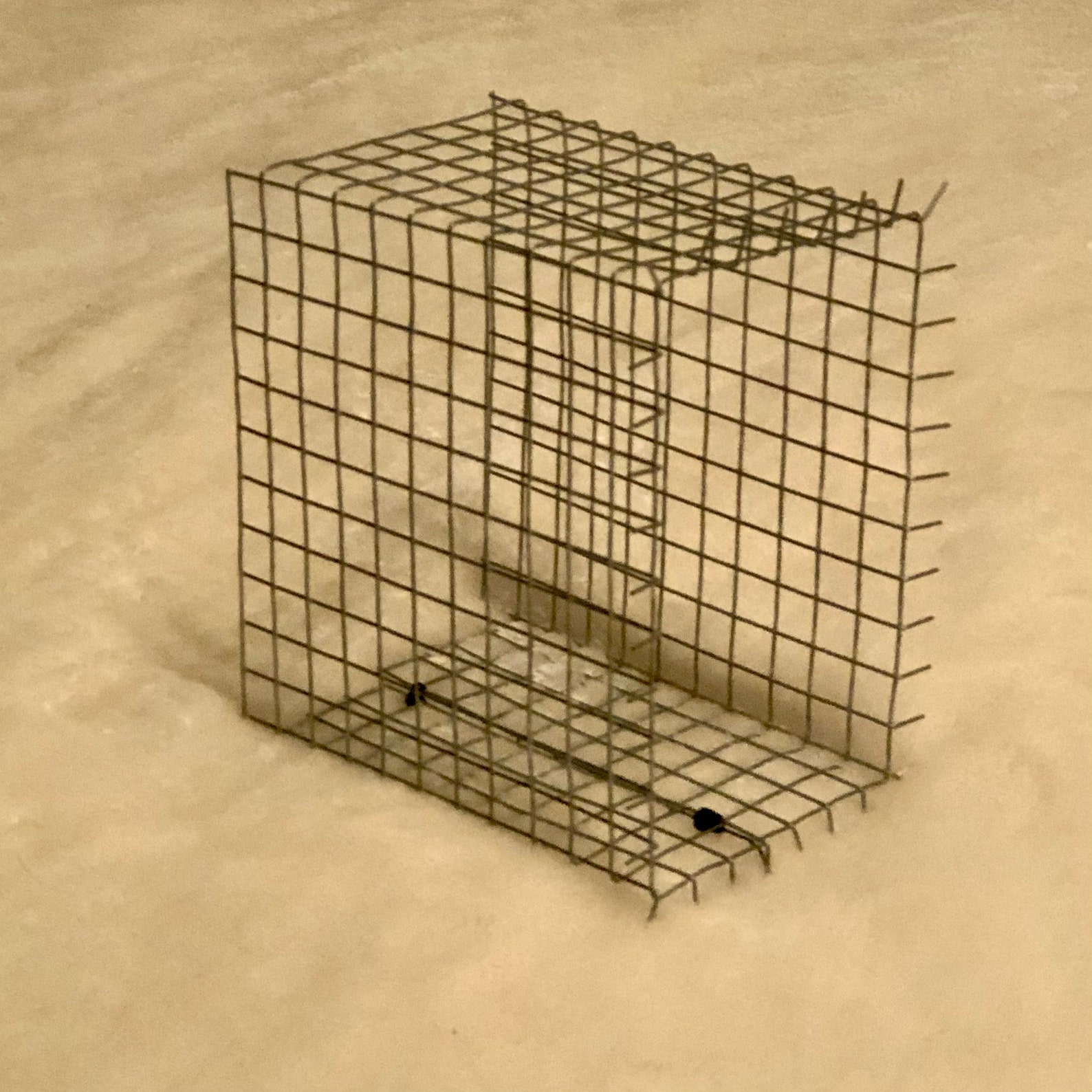 Ultimate Bluebird House Predator Guard Birdhouse Guard Etsy