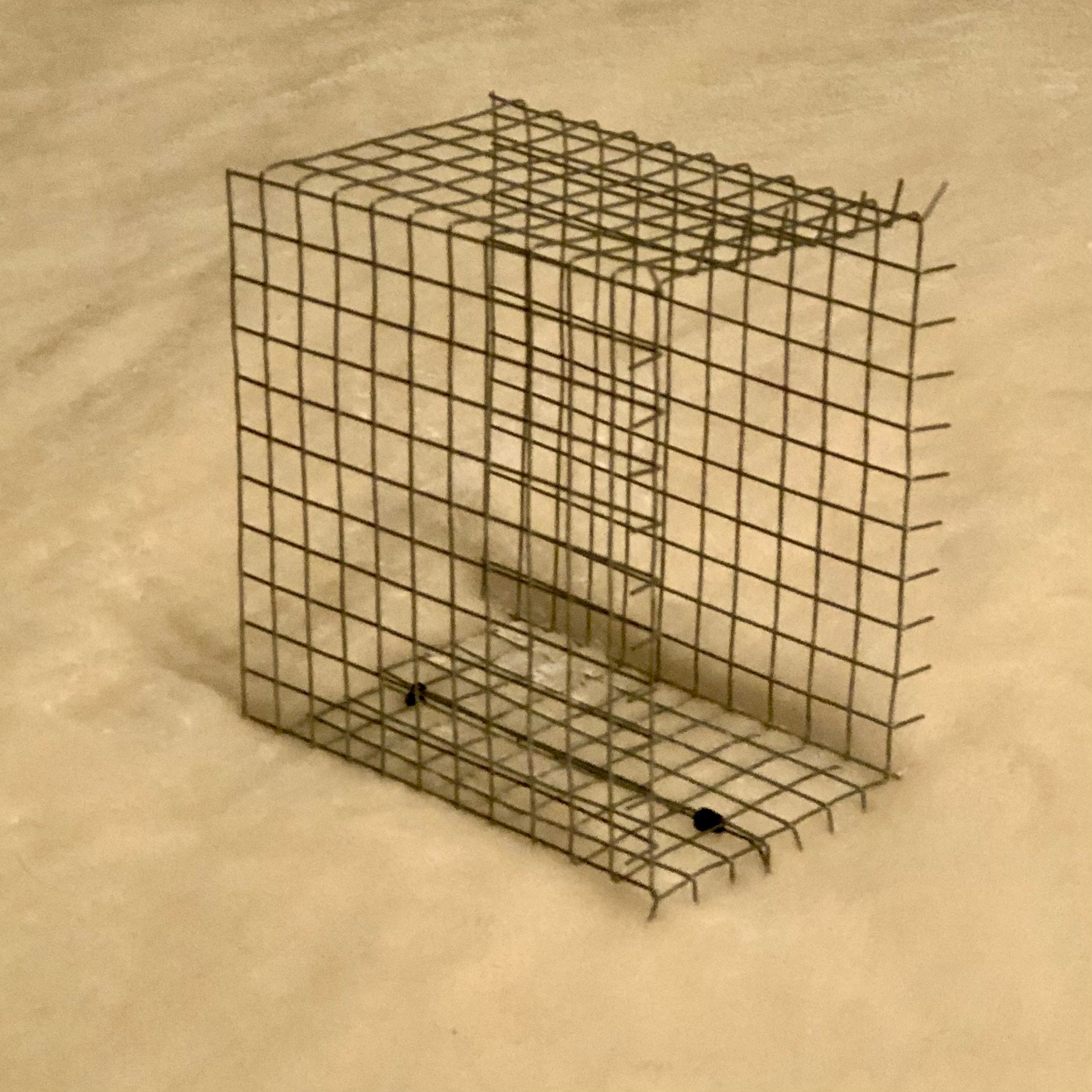 Ultimate Bluebird House Predator Guard Birdhouse Guard | Etsy