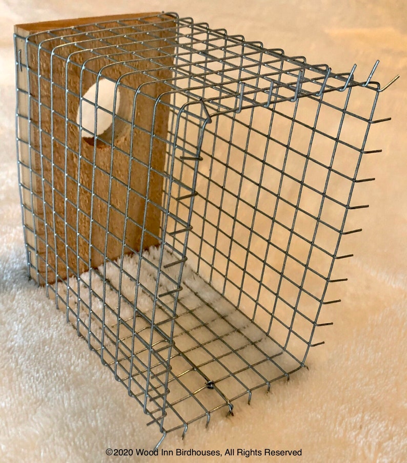 UltimateDefender Predator Guard Birdhouse Guard Guard Etsy