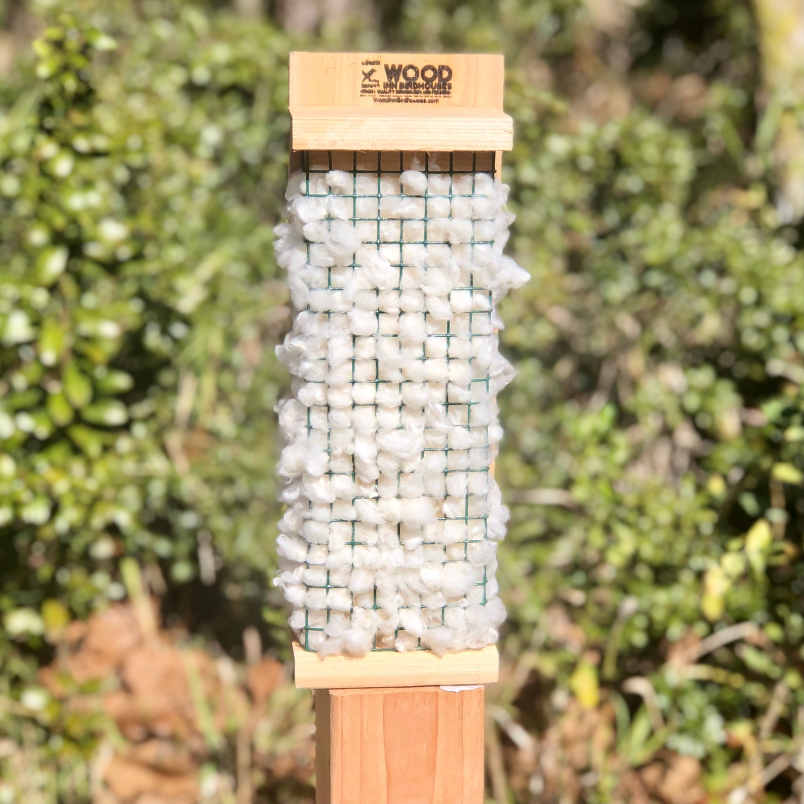 Bird Nest Cotton / Nesting Material Holder Nest Material Etsy