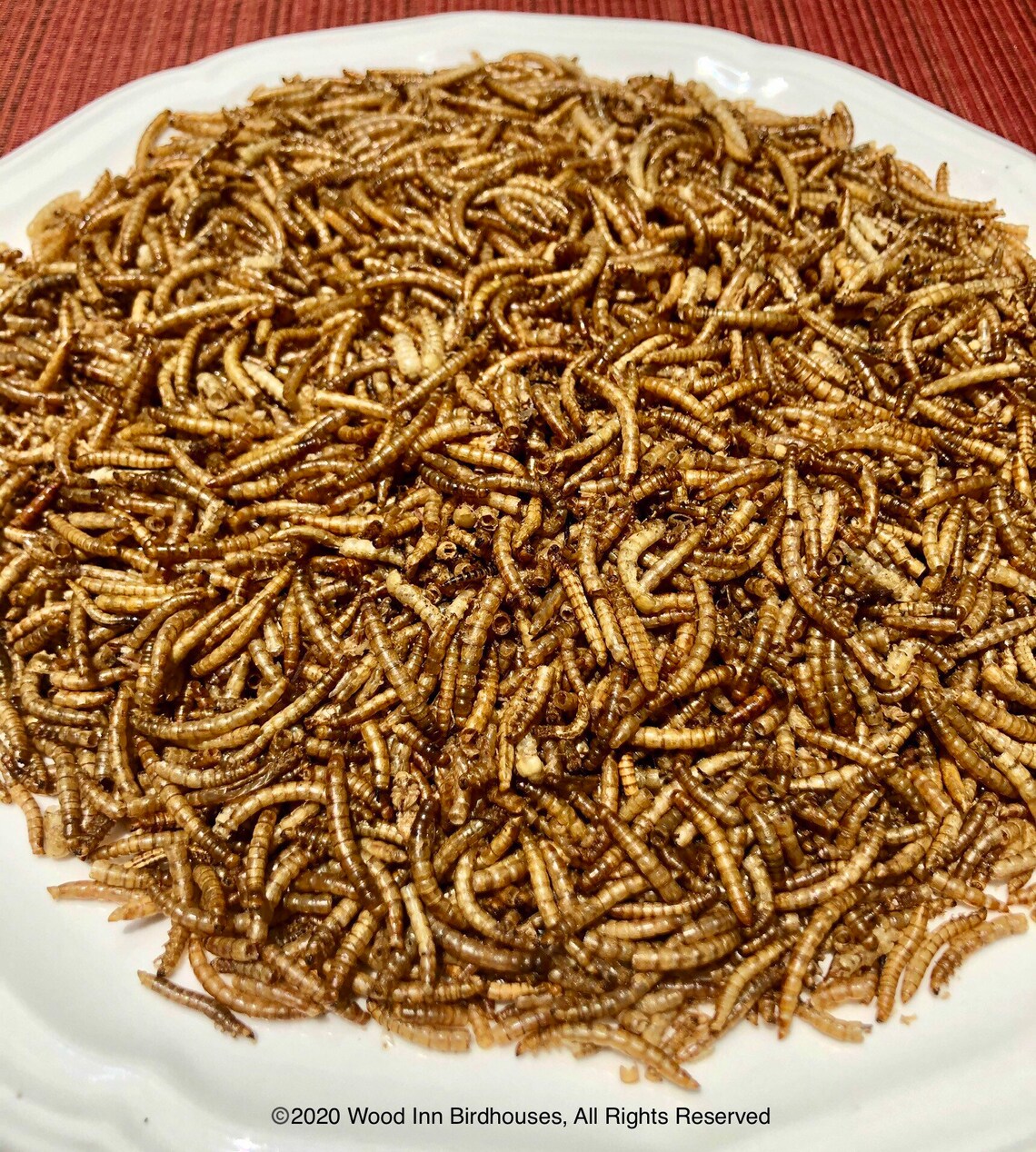 Mealworms Whole Nutritious and High in Protein 100 NonGMO Etsy