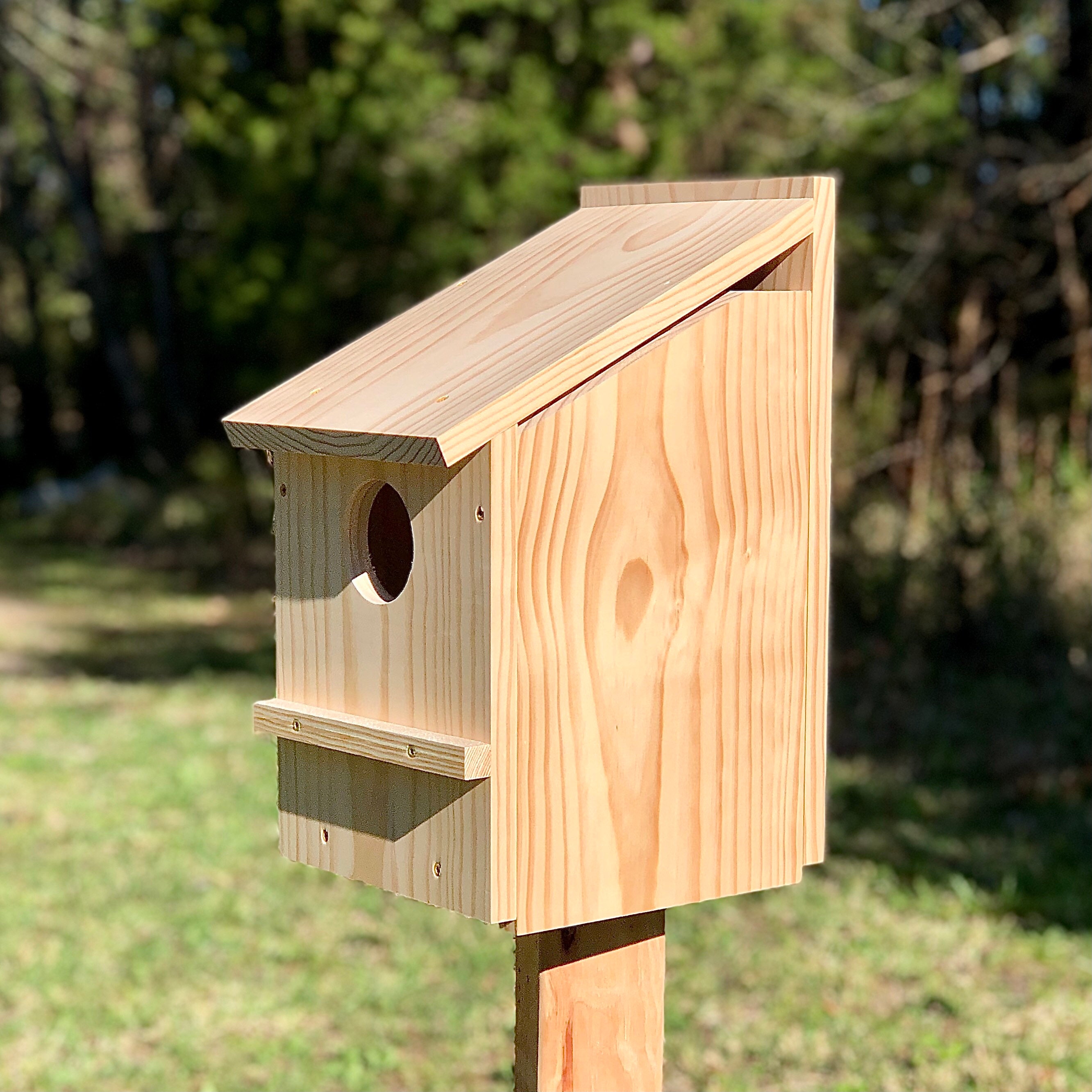 Squirrel Nesting Box Side Opening 21H x 10W x12L Etsy