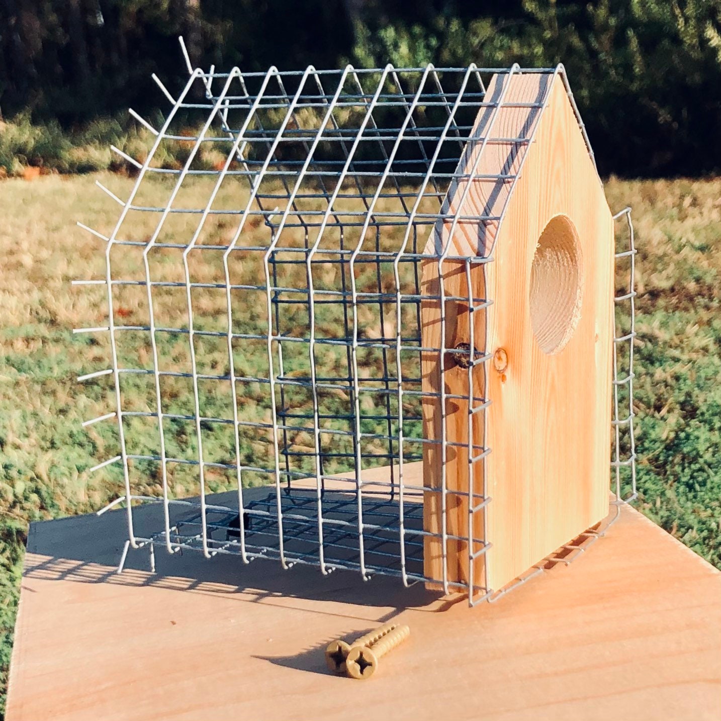 Ultimatedefender Gable Roof Birdhouse Predator Guard Etsy