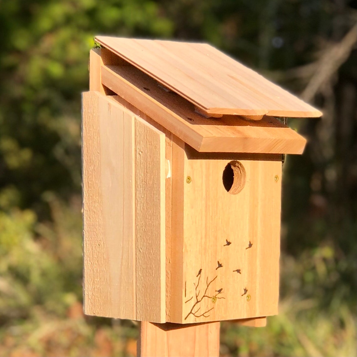 Bluebird House Sunshade Heat Shield Sun Screen Wood Shield Etsy