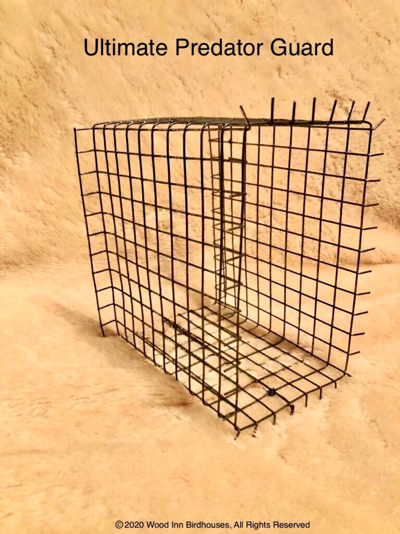 Ultimate Bird House Predator Guard Birdhouse Guard Portal - Etsy