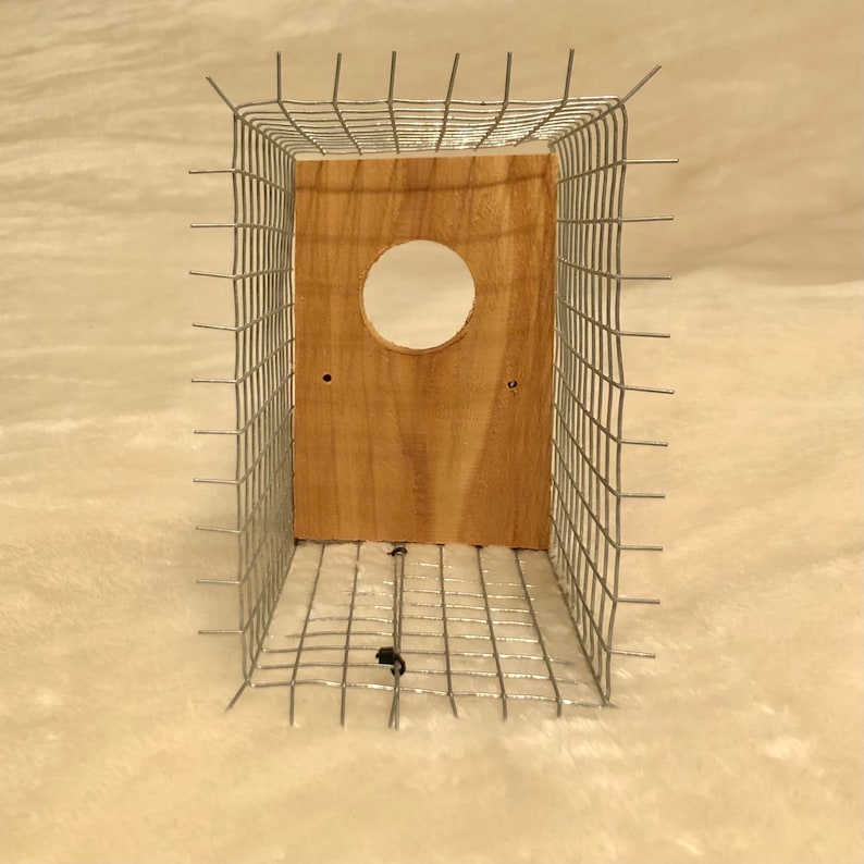 UltimateDefender Predator Guard Birdhouse Guard Guard Etsy