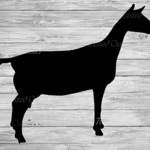 Op de afbeelding: Zwarte silhouet van een geit die op een witte houten achtergrond staat.