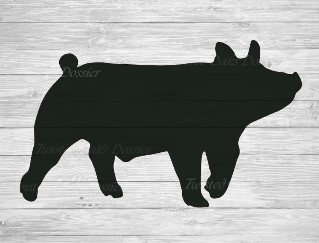 Show Pig , Market Hog, Swine 4H & FFA | NEW 2024 | Digital Downloads ...