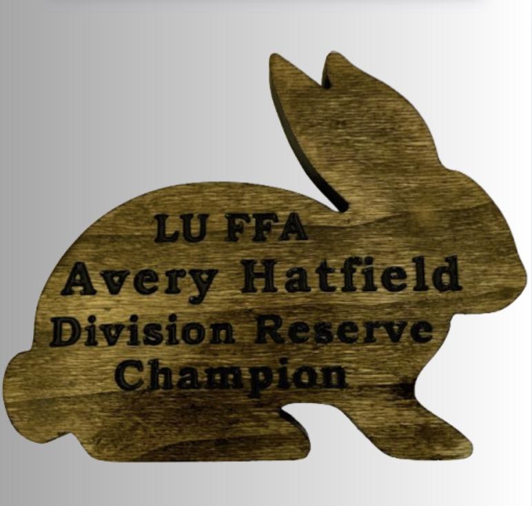 Custom Engraved Rabbit Show Sign: Solid Wood Farm Decor (16
