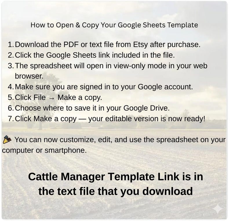 May include: A white background with text explaining how to open and copy a Google Sheets template. Instructions include downloading a PDF, clicking a link, and making a copy. The text also mentions customizing the spreadsheet on a computer or smartphone.