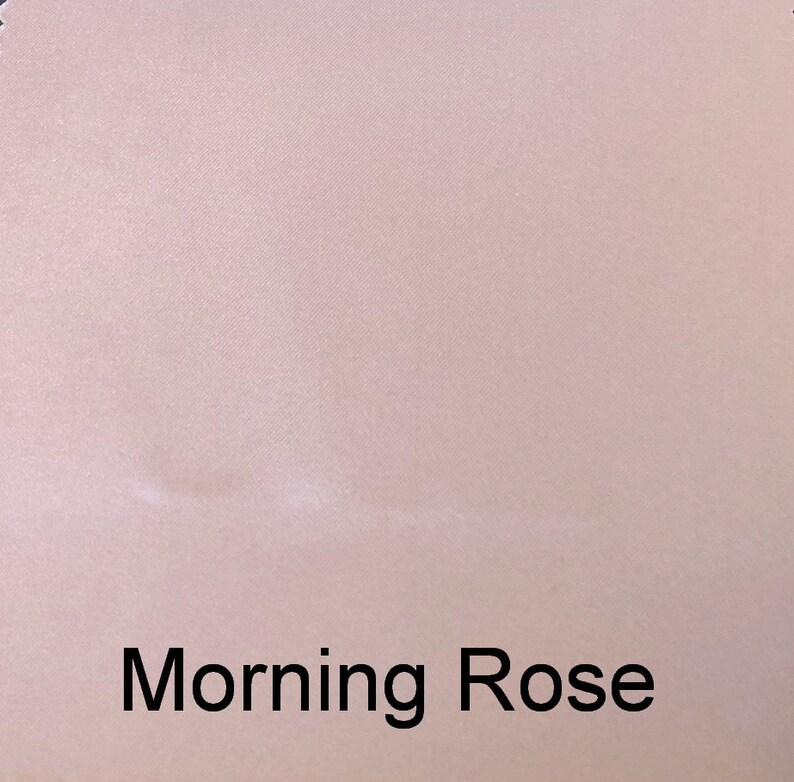 May include: A solid, pale pink fabric swatch with the text "Morning Rose" printed in black.
