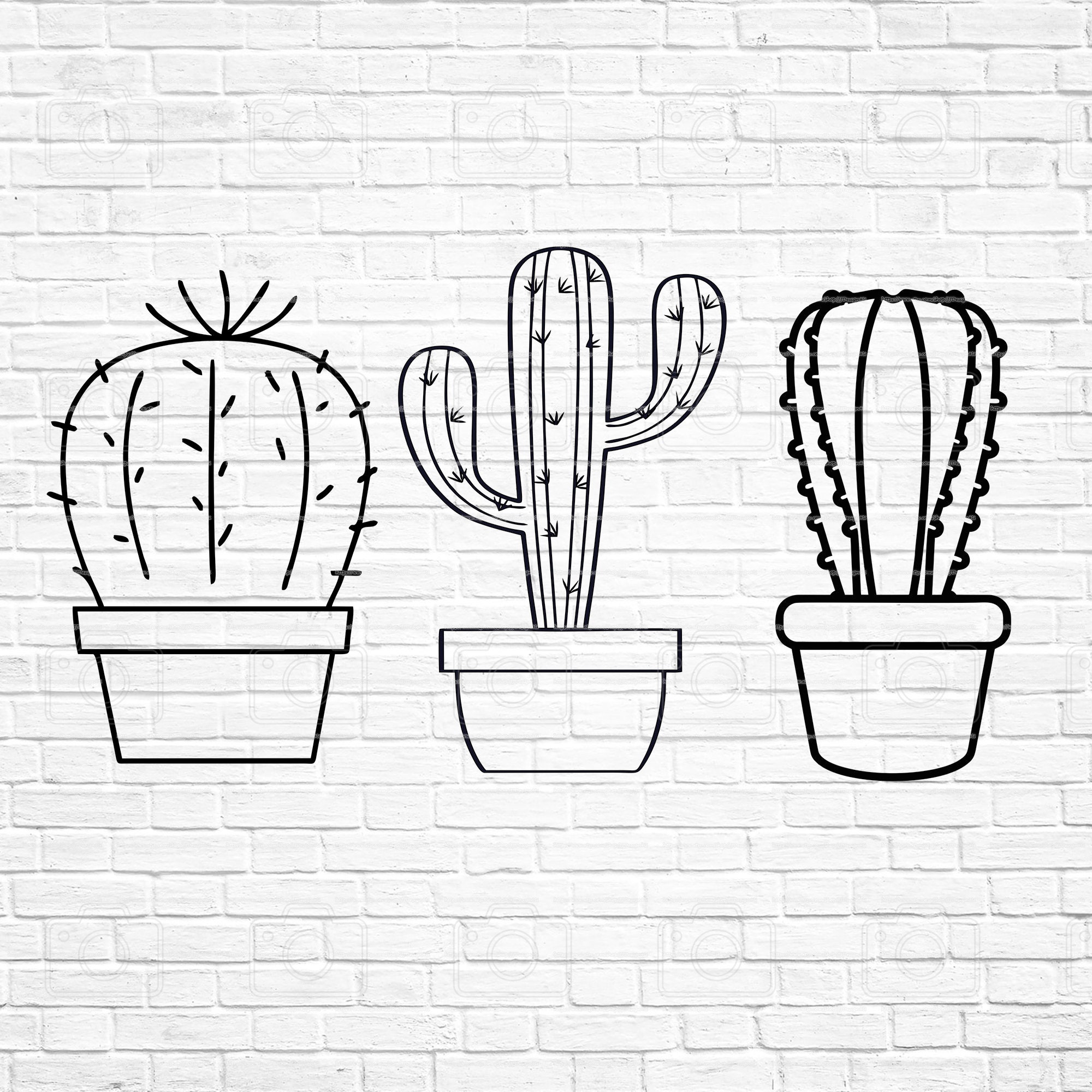 Cactus Bundle SVG Succulent SVG Cactus Cut File PNG - Etsy