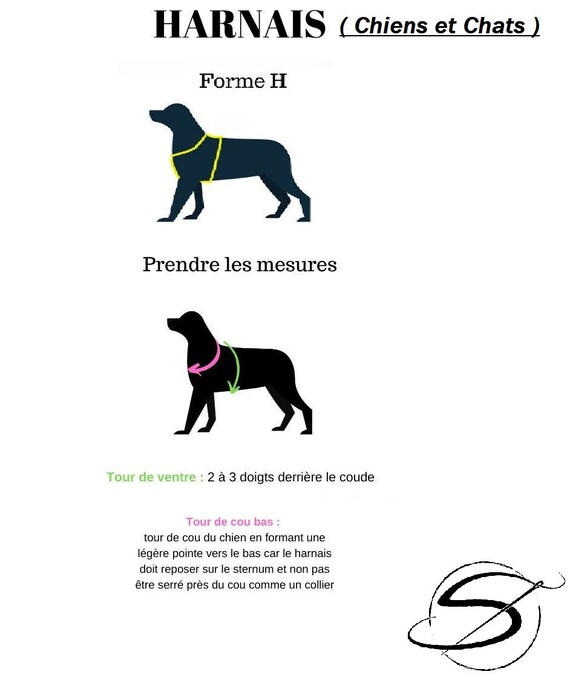 amazon barbie sirene