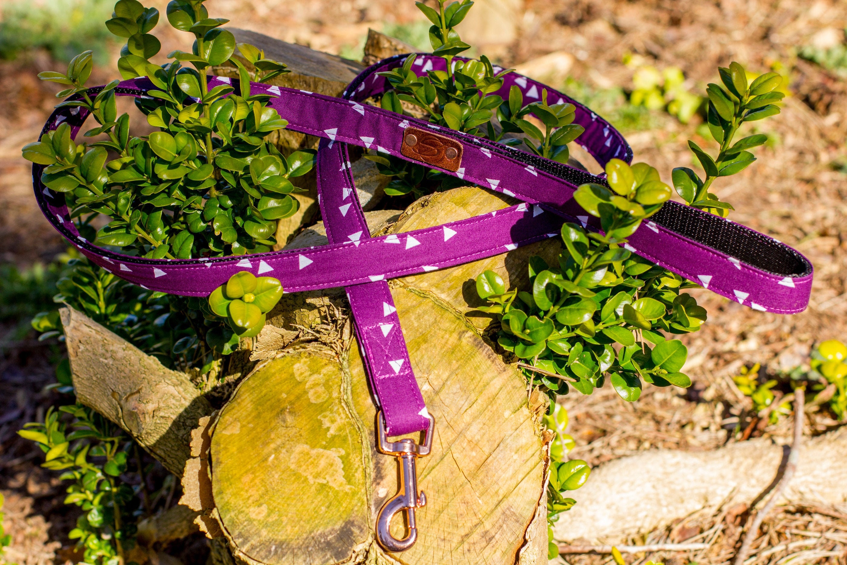 Laisse | Normale ou Courte Collection Améthyste