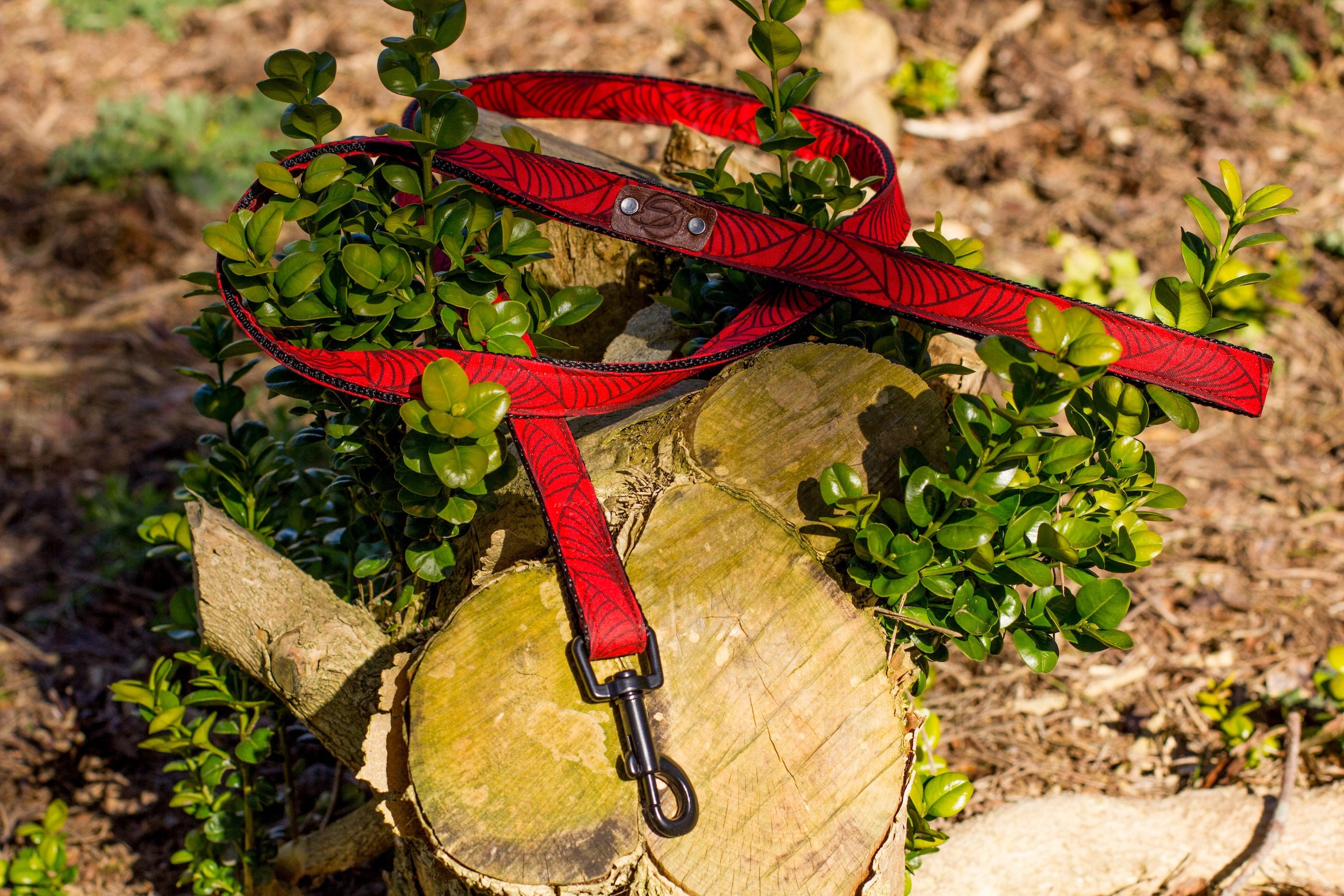 Laisse | Petite ou Grande Collection Aphrodite