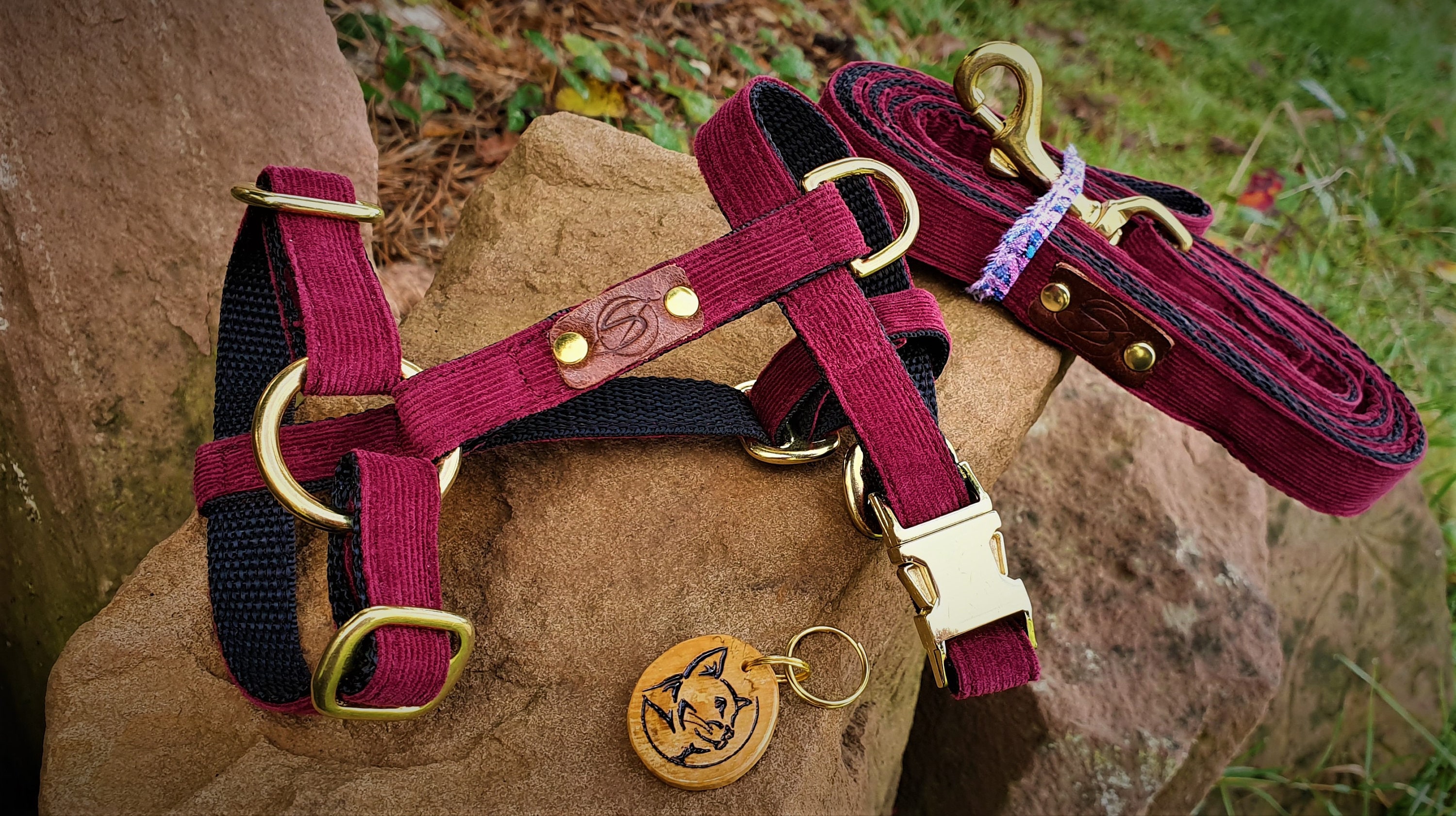 Harnais Collection Paris ~ Velours Chien et Chat