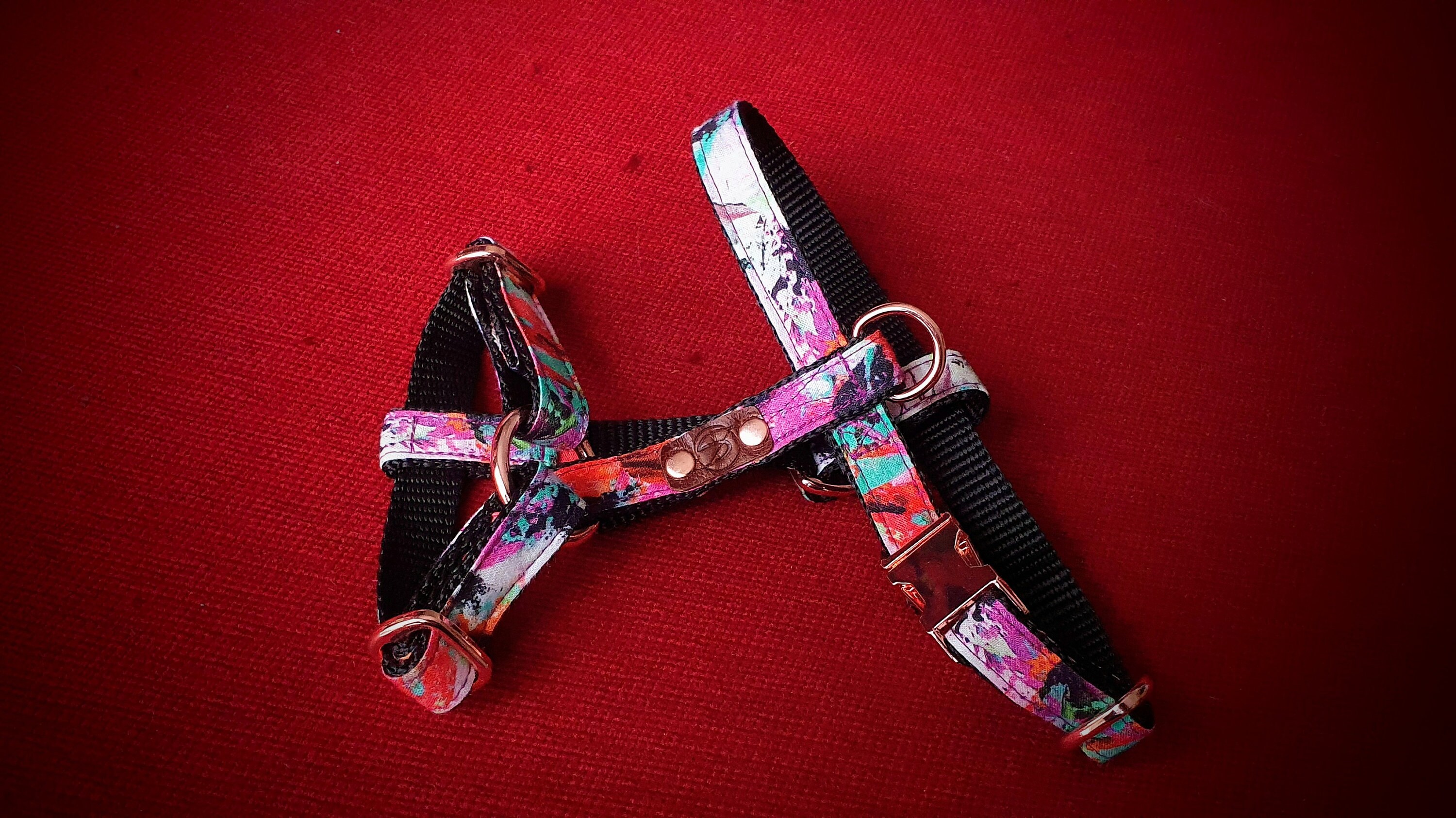 Harnais Collection Aquarelle ~ Chien et Chat