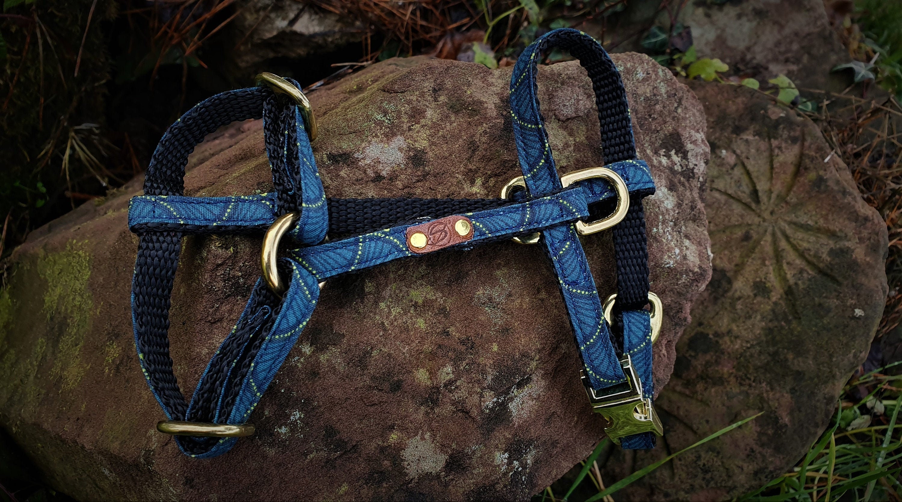 Harnais Collection Impérial ~ Chien et Chat