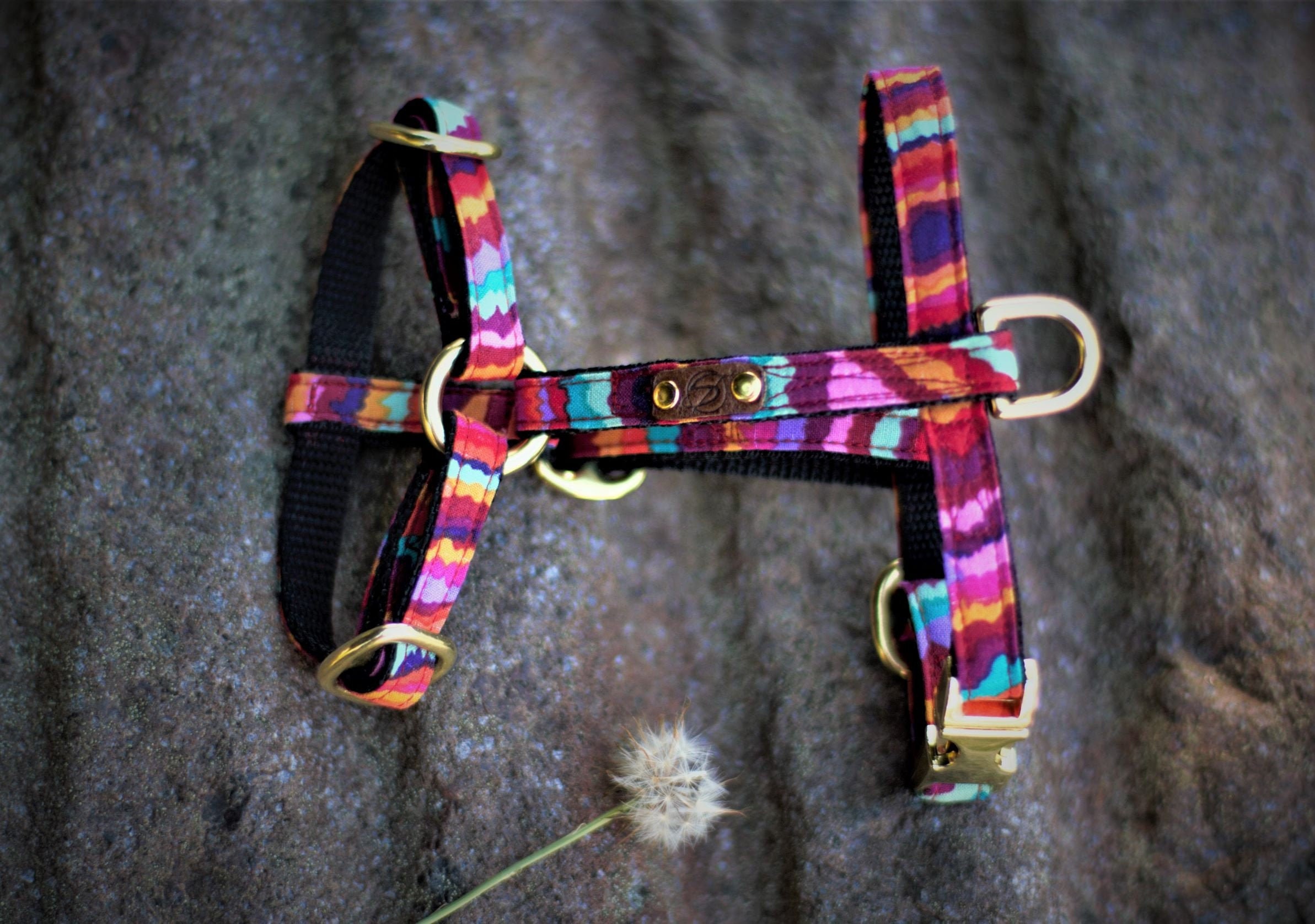 Harnais Collection Rainbow ~ Chien et Chat