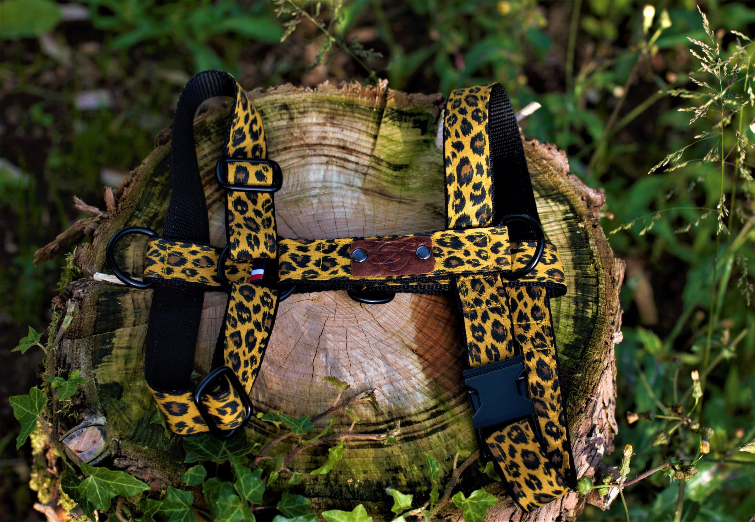 Harnais Collection Sauvage~ Chien et Chat