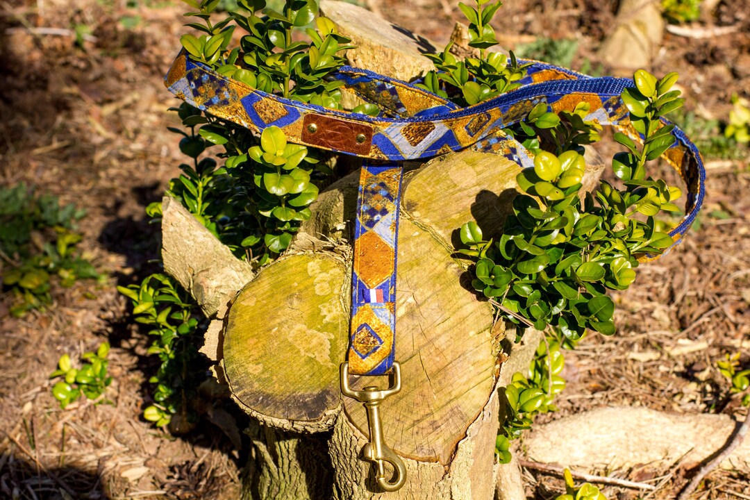 Leash Normal or Short Orion Collection Etsy