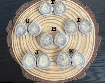 Deer Antler Cabs- cabochons for beading mule deer antler slices