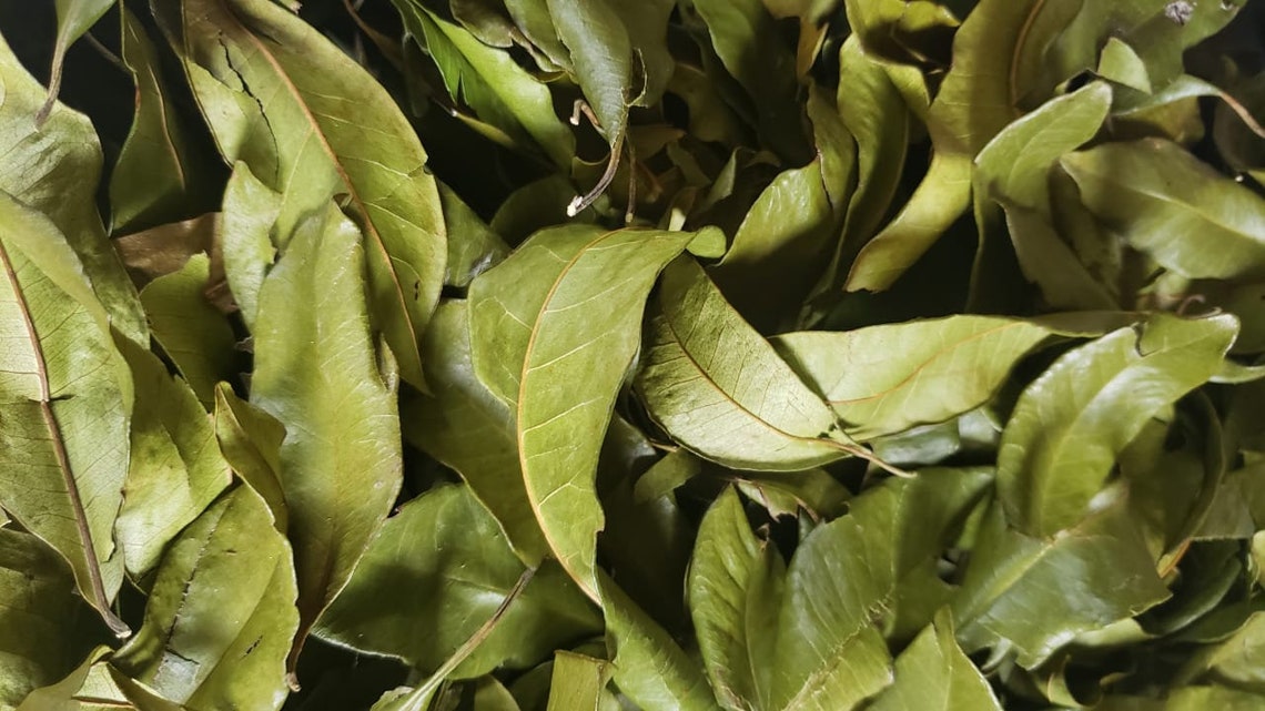 100% Jamaican Pimento Leaves WildCrafted Allspice Leaves | Etsy