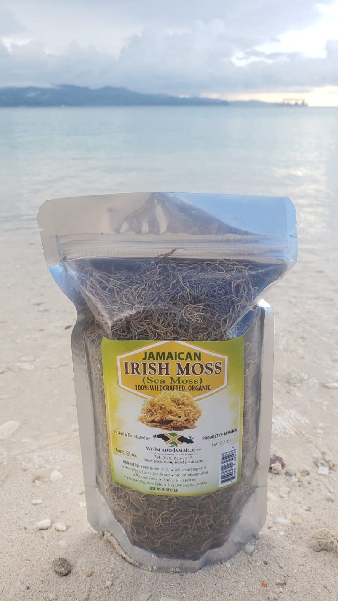 Jamaican SEA MOSS 100 Organic Raw IRISH Moss Free Etsy