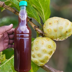 Pure NONI JUICE 100% Organic | Fermented from Premium Wildcrafted Jamaican Noni | Free Shipping |