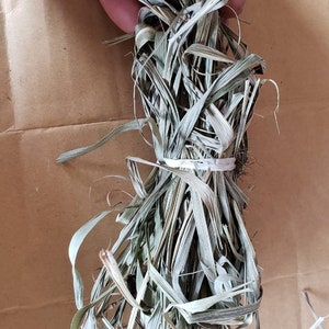 WILDCRAFTED Lemon Grass aka Jamaican Fever Grass / Cymbopogon citratus image 3