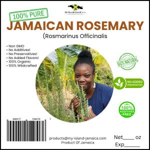 100% Wildcrafted Rosemary (Rosmarinus officinalis) - Air-Dried & Grounded | Organic Jamaican | Free Shipping