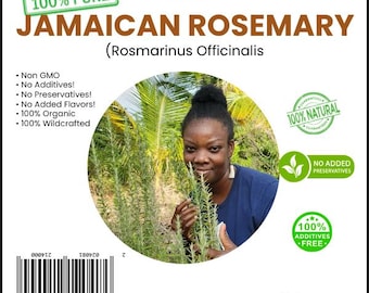 100% Wildcrafted Rosemary (Rosmarinus officinalis) - Air-Dried & Grounded | Organic Jamaican | Free Shipping