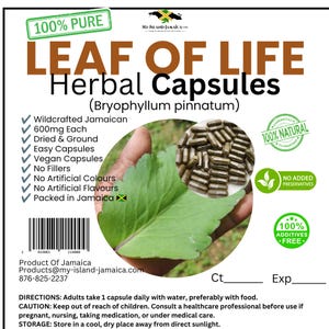 May include: A product label for Leaf of Life herbal capsules, Bryophyllum pinnatum, featuring text stating 600mg each, wildcrafted Jamaican, vegan, no fillers, no artificial colours or flavours, and 100% pure and natural. Includes a barcode and contact info.