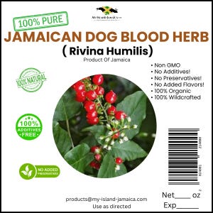 Dog Blood Herb (Rivina humilis) | 100% Wildcrafted Jamaican Herb | Dried & Grounded | Sold by the Ounce | Free Shipping