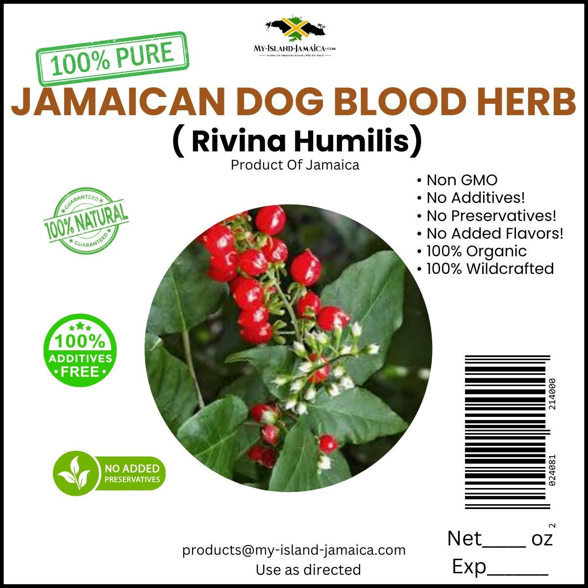 Dog Blood Herb (Rivina humilis) | 100% Wildcrafted Jamaican Herb | Dried & Grounded | Sold by the Ounce | Free Shipping