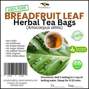 May include: A white teacup with herbal tea and a tea bag sits on a large green breadfruit leaf. The image features text that reads "Breadfruit Leaf Herbal Tea Bags" and "100% Pure". Additional text indicates the tea is non-GMO, organic, and additive-free.