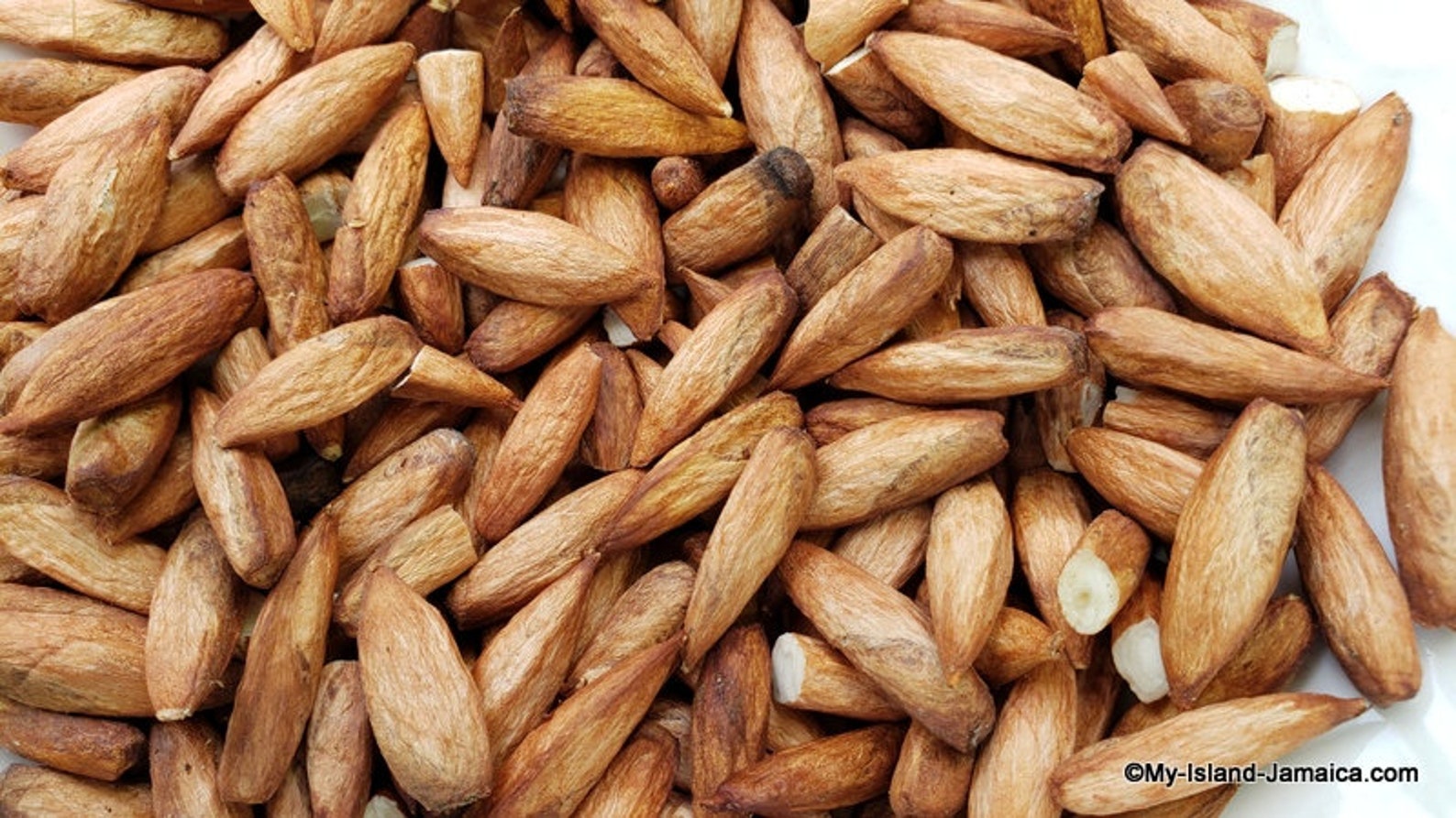 100 Jamaican ALMOND NUTS tropical Almond Superfood Etsy